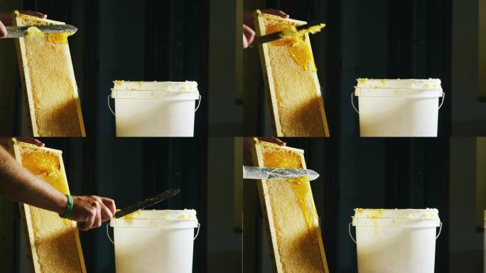 一个高加索人用刀切开蜂窝，然后将蜡刮入附近的桶中，而蜂蜜滴落下来。一个高加索人用刀切开蜂窝，然后将蜡