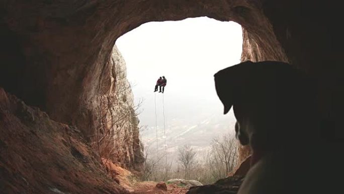 狗也喜欢极限运动狗也喜欢极限运动爬山