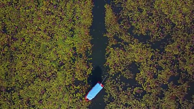 泰国红莲湖海