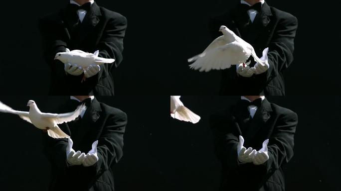 魔术师从手中释放鸽子，慢动作