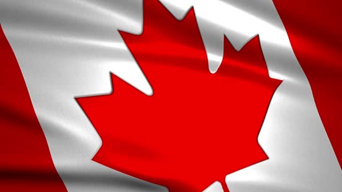 近距离挥舞加拿大国旗，可循环
