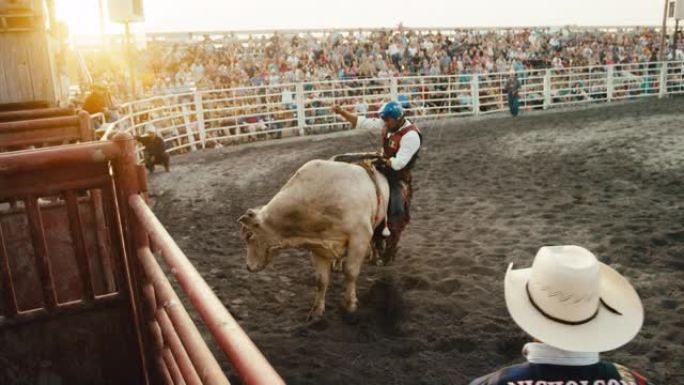 观众观看一名男公牛骑手参加公牛比赛的慢动作镜头，然后被从公牛的背上扔下，而牛仔竞技小丑在日落时在挤满