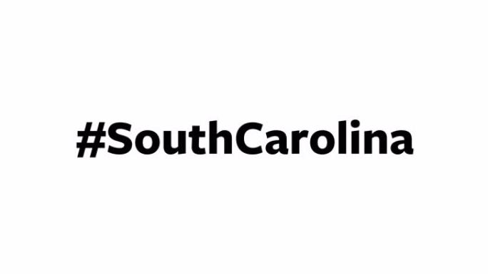 一个人在他们的电脑屏幕上输入 “# SouthCarolina”