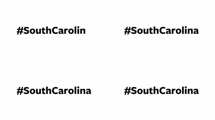 一个人在他们的电脑屏幕上输入 “# SouthCarolina”