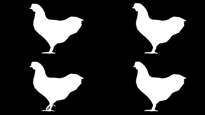鸡闲置动物轮廓 (可循环)