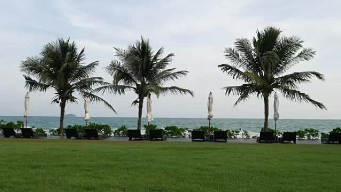 沿着热带海滩的椰子棕榈