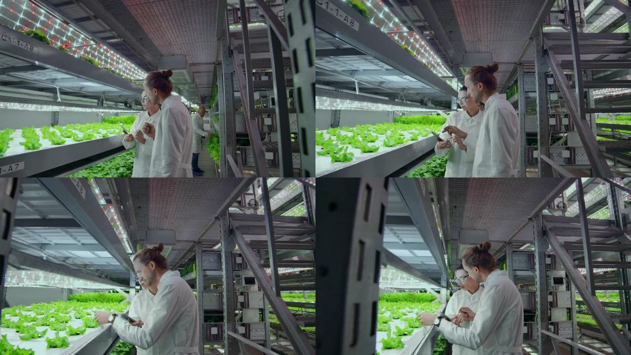 现代科学家通过在垂直自动化农场中种植健康食品来从事健康食品生产的发展。使用笔记本电脑和平板电脑进行数