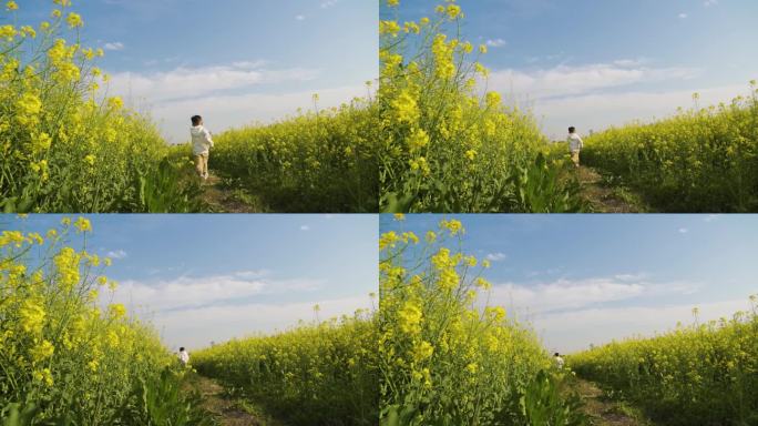 小孩油菜花地奔跑背影欢乐童年健康成长天真