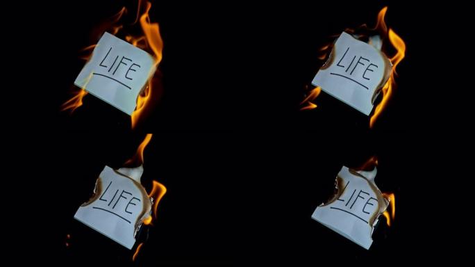 SLO MO LD蓝色纸片上刻有 “生命” 字样的燃烧