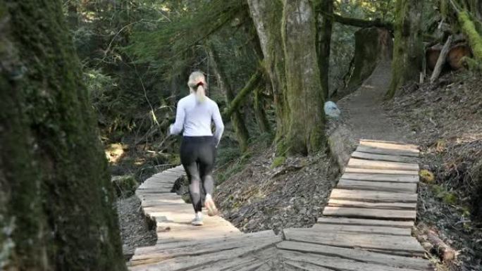 女越野跑运动员沿着高温雨林走