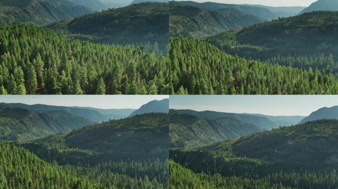 加州内华达山脉夏日美丽的高山景观 -- 无人机拍摄