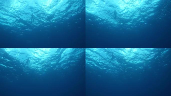 水下水下潜水器从下方拍摄水下潜水器