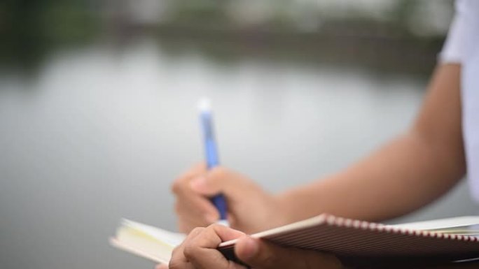 年轻女子在湖边写日记本。
