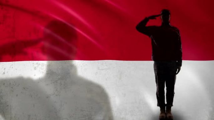 印尼士兵对着国旗剪影敬礼，军人志愿兵