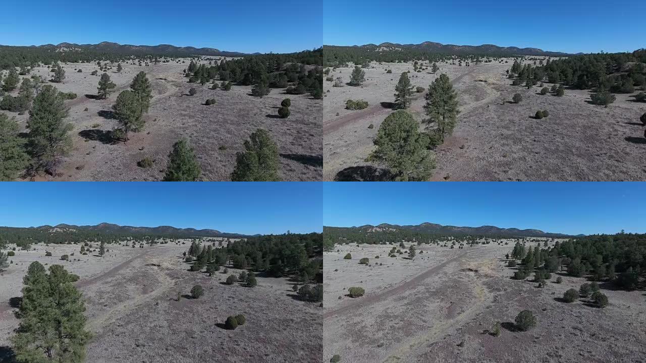 亚利桑那州-新墨西哥州山区航空