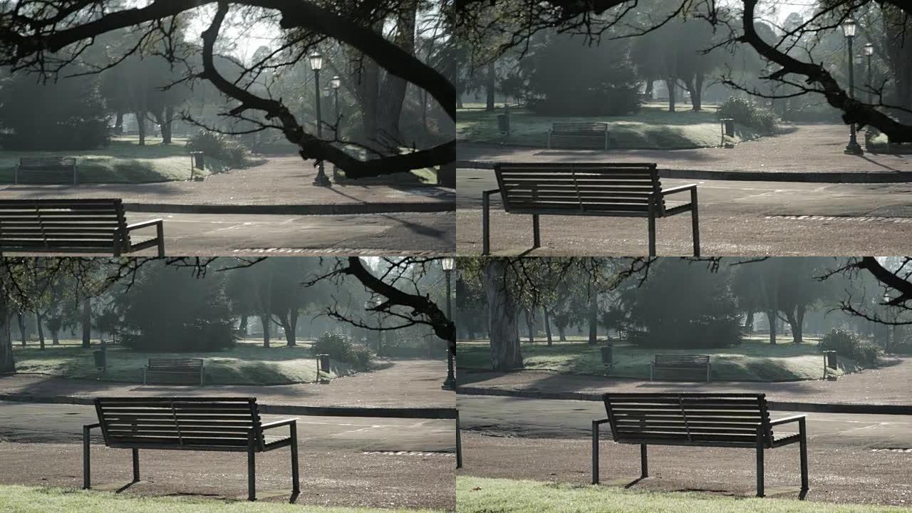 早上在绿色公园的长凳上。