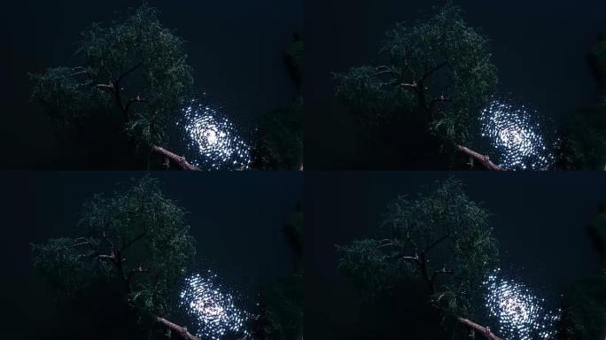 月光下沐浴在河里的柳树