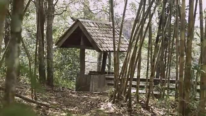 竹林中的传统房子