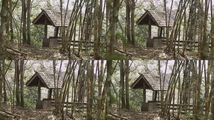 竹林中的传统房子