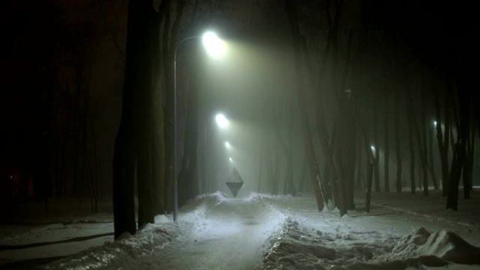 黑色未来物体漂浮在夜公园，外星船，不明飞行物，技术