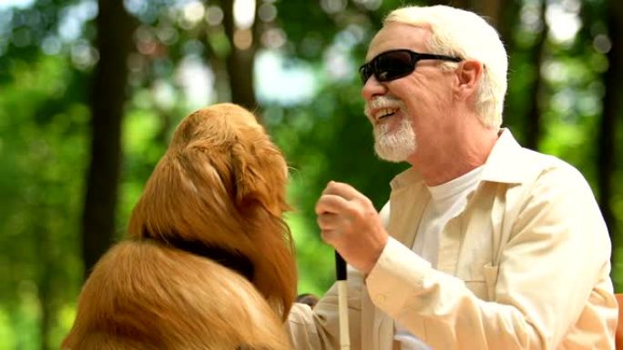 善良的视力障碍的人抚摸导盲犬，坐在公园的长凳上