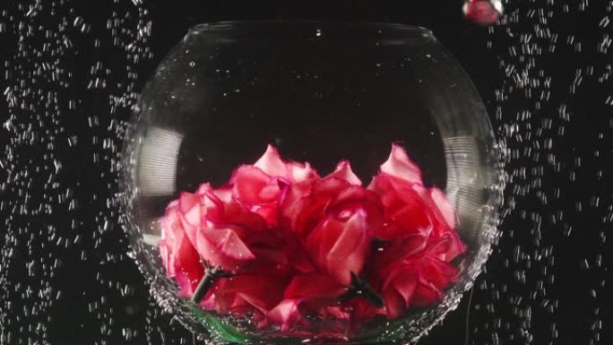 透明的圆碗，里面的人造花在黑色背景的水下。
