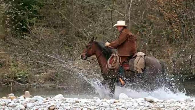 SLO MO TS牧场主骑着马过河