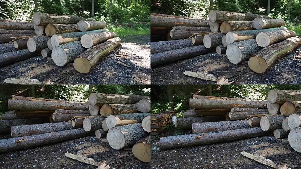 大型林业木桩