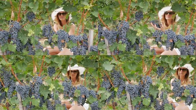 葡萄园里戴着草帽的农夫妇女