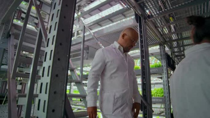 现代农场种植未来的有机产品。两名男子手里拿着平板电脑走下垂直农场的楼梯，两名妇女在检查生产产品的样品