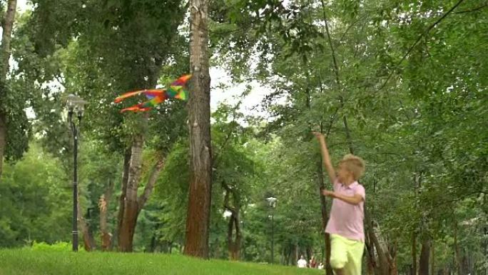 公园里放风筝的小男孩，快乐的童年，自由的灵感，慢动作
