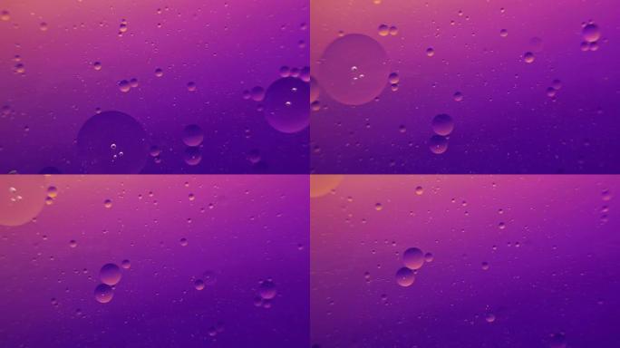 紫色背景上的油泡宏观摄影