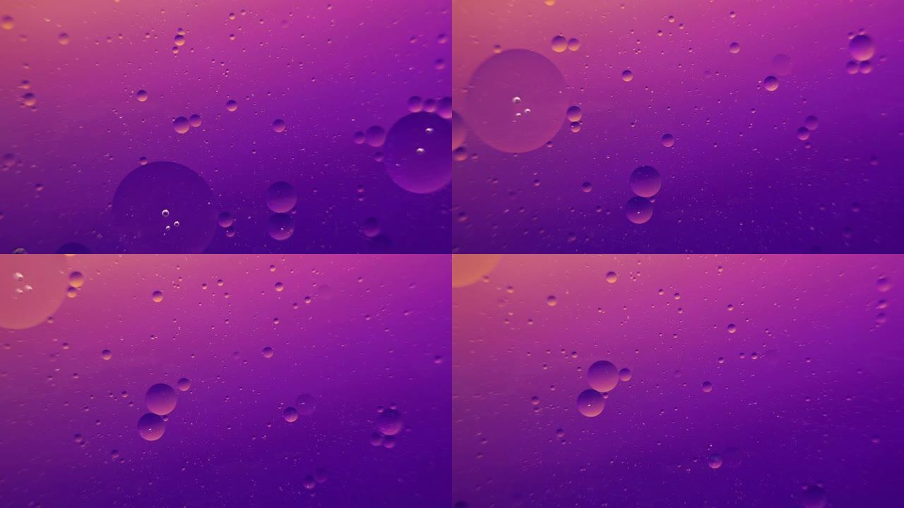 紫色背景上的油泡宏观摄影