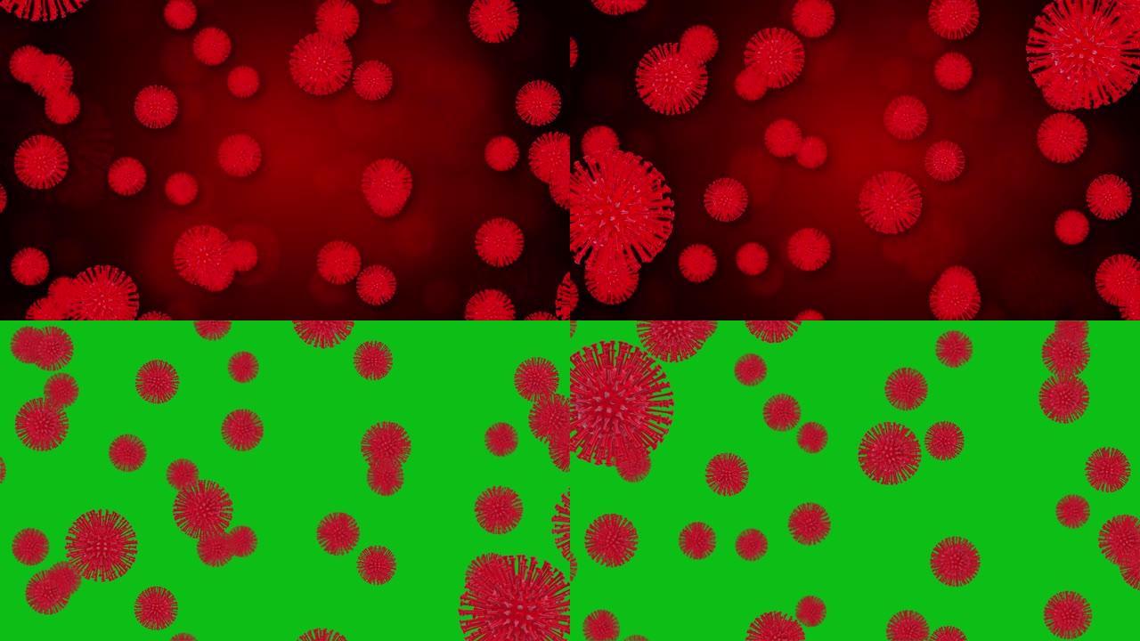 新型冠状病毒肺炎或冠状病毒2019日冕病毒3d渲染循环动画。带有粒子的红色蓝色日冕病毒。绿色屏幕背景