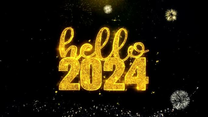你好，2024文字希望在金粒子烟花汇演。