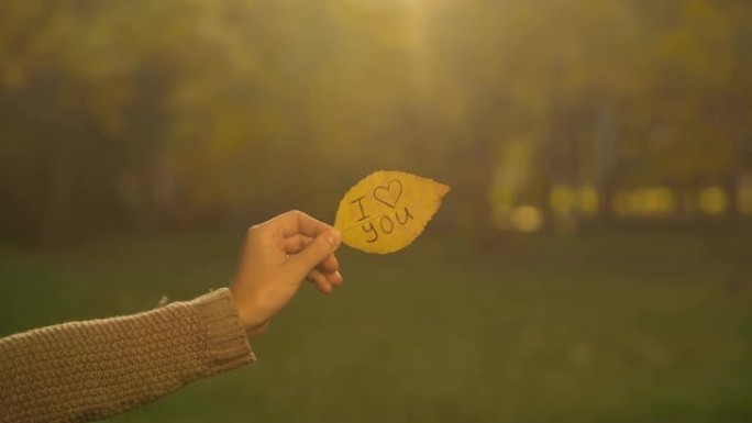 我爱你写在秋叶上，手捧文字，浪漫告白