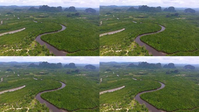 泰国trang省红树林和海洋的鸟瞰图，