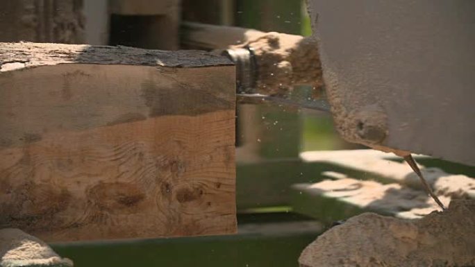 锯木机将树枝切成木梁