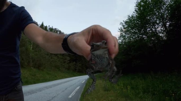 具有道德的POV汽车驾驶: 从道路上拯救小蟾蜍动物的生命