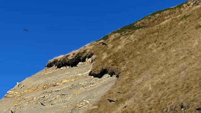 意大利白云岩阿尔卑斯山的美丽景象