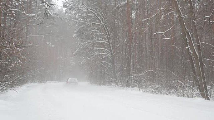 暴风雪中森林路上的汽车。