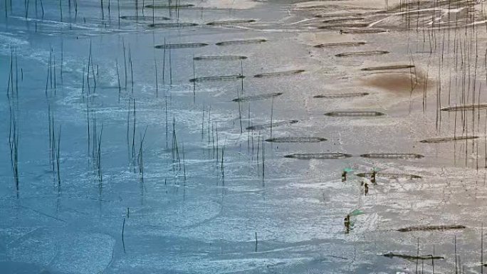 中国福建省霞浦艺术泥滩上的渔民携带鱼网。