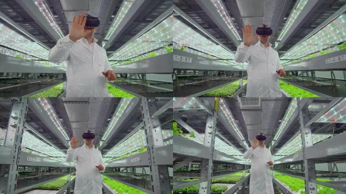 穿着白大褂的男科学家站在垂直农业的走廊上，用水培法配上眼镜，绿色的蔬菜展示周围的虚拟现实