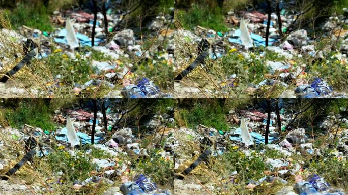 野外森林露天倾倒，人类对生态系统的影响，有毒废物