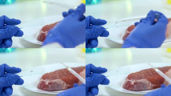 科学家将液体滴在玻璃上，肉在背景上，细菌学