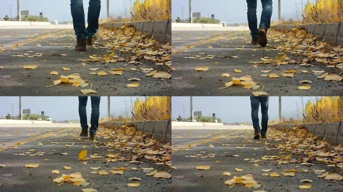秋天和道路
