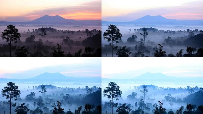 4k延时美丽的日出和森林中的雾云