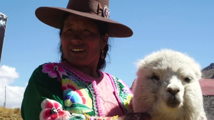 秘鲁女人带着可爱的羊驼