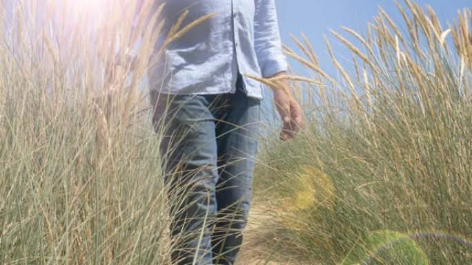 人穿过长长的马兰草。