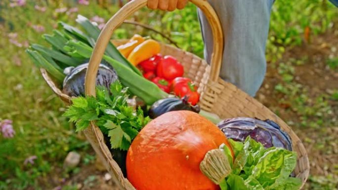 SLO MO篮子里装满了五颜六色的永久栽培花园产品